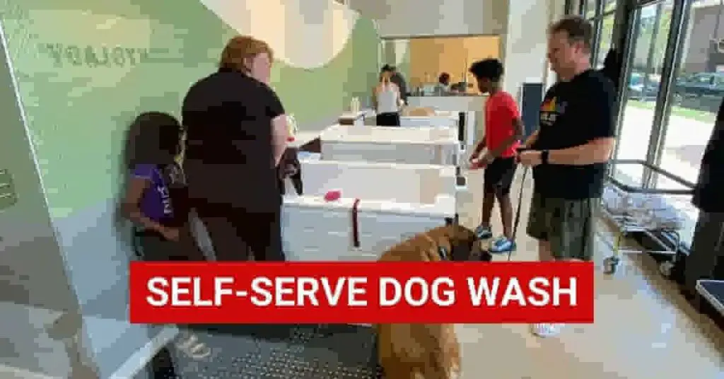 self-serve-dog-wash